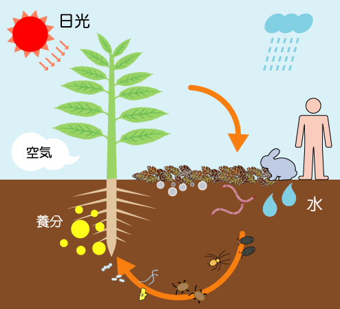 生物を介した物質・エネルギー・生命の循環