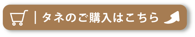 国産・無農薬栽培の「自然農法センターのタネ」の購入はこちら・水稲・雑穀 鹿児島在来ササゲ