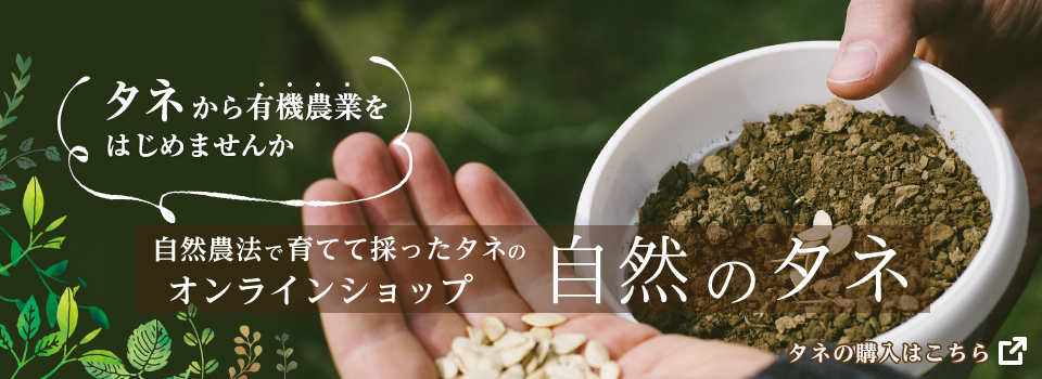 有機・自然農法の栽培にむく自然のタネ オンラインショップへ