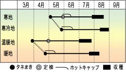 2-07_gata_makuwauri