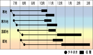 2-08_gata_chikumano