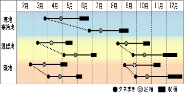 2-09_gata_erugo