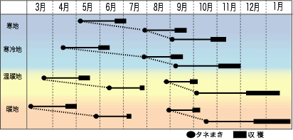 2-13_gata_fukkura