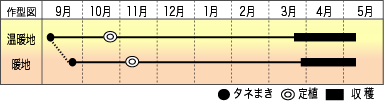 2-13_gata_kawashimakakina