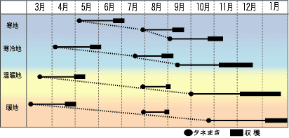 2-13_gata_okanori