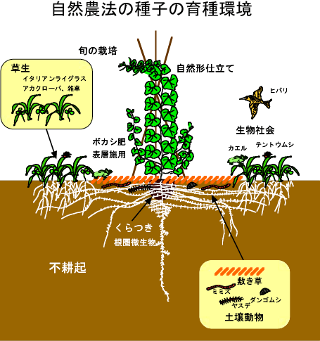 3-5_ikuseikankyo