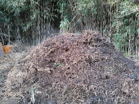 s-２日前に仕込んだ堆肥は発熱し湯気が立っていた