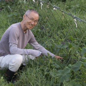 ナスの畝から自然に生えてきたキュウリと中川原さん