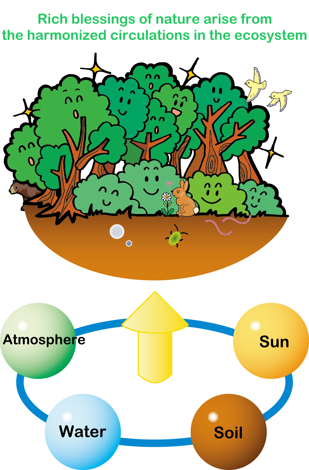 Harmonized circulations in the ecosystem