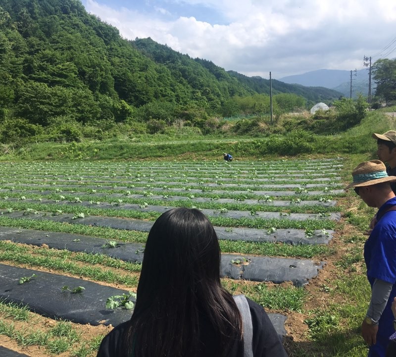 전 연수생이 운영하는 밭에 가서 견학