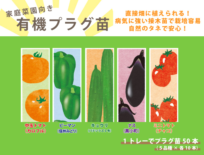 有機栽培と自然農法に向いている有機の苗販売中 化学肥料や農薬を使っていない自然農法センターのタネです 有機農業・自然栽培・無肥料栽培・不耕起栽培