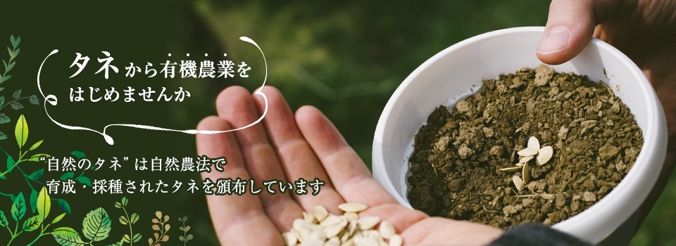 自然のタネ 野菜の種 通販サイト オーガニックなタネ 国内生産 有機栽培 有機農業の種