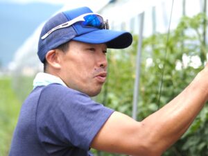 新品種名募集 オレンジ中玉トマト 原田の兄さんが育種した自農T33 オーガニックな自然農法センターのタネ